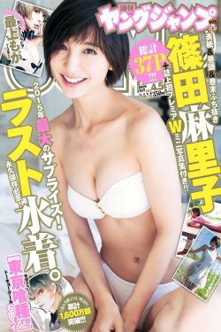 芝麻胡同演员表